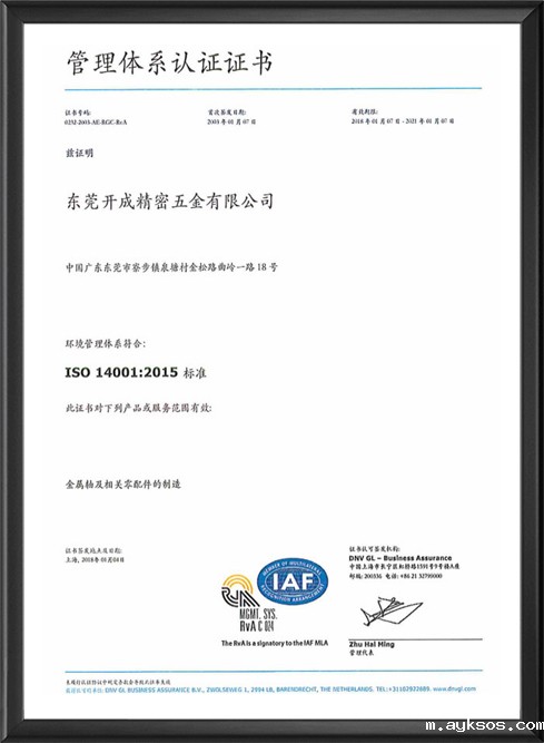 ISO14001マネジメントシステム認証中国語版