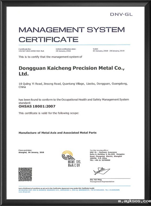 英語でのISO18001マネジメントシステム認証